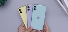 iPhone 11 Farben