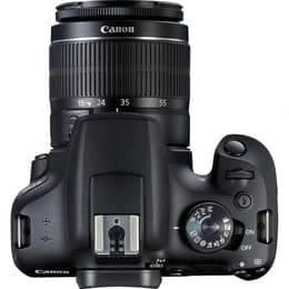 Spiegelreflexkamera - Canon EOS 2000D Schwarz + Objektivö Canon EF-S 18-55mm f/3.5-5.6 IS II
