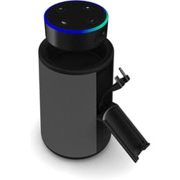 Lautsprecher Bluetooth Amazon Echo Hobson - Schwarz