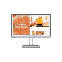 Bildschirm 21" LED Lenovo L22i-40