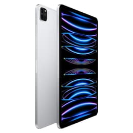 iPad Pro 11" (2022) 4. Generation 2000 GB - WLAN - Silber