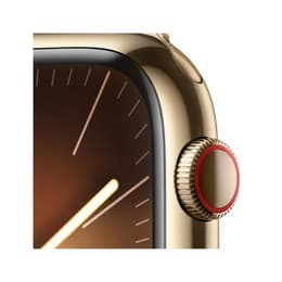 Apple Watch Series 9 (2023) GPS + Cellular 41 mm - Rostfreier Stahl Gold - Sportarmband Polarstern