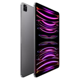 iPad Pro 12.9" (2022) 6. Generation 256 GB - WLAN - Space Grau