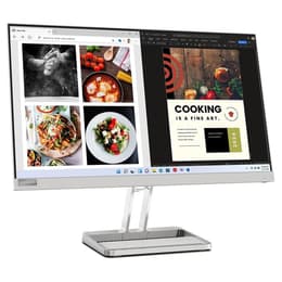 Bildschirm 24" LED 1920 X 1080 Lenovo L24I-4A