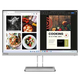Bildschirm 24" LED 1920 X 1080 Lenovo L24I-4A
