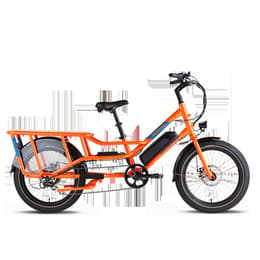 Rad Power Bikes radwagon 4 E-Bike