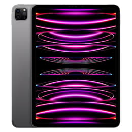 iPad Pro 11 (2022) 4. Generation 2000 Go - WLAN + 5G - Space Grau