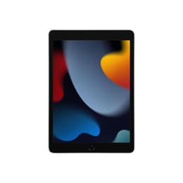 iPad 10.2 (2021) 9. Generation 256 GB - WLAN - Space Grau