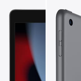 iPad 10.2 (2021) 9. Generation 256 GB - WLAN - Space Grau