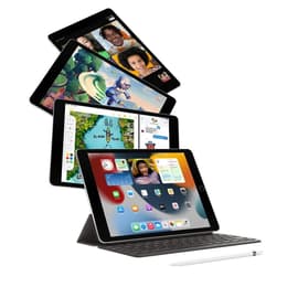 iPad 10.2 (2021) 9. Generation 256 GB - WLAN - Space Grau