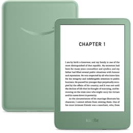 Amazon Kindle 11th Generation 6,0000 WLAN E-reader