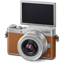 Lumix DC-GX800 - Braun + Panasonic Panasonic Lumix G Vario 12-32 mm f/3.5-5.6 ASPH. f/3.5-5.6