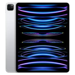 iPad Pro 12.9 (2022) 6. Generation 256 GB - WLAN + 5G - Silber
