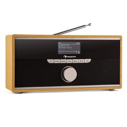 Auna Weimar Radio Nein