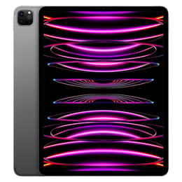 iPad Pro 12.9" (2022) 6. Generation 2000 GB - WLAN + 5G - Space Grau