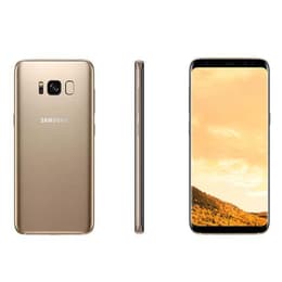 Galaxy S8 64GB - Gold - Ohne Vertrag