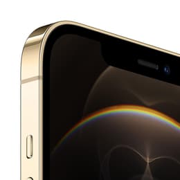 iPhone 12 Pro Max 256GB - Gold - Ohne Vertrag