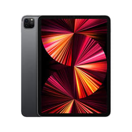 iPad Pro 11" (2021) 3. Generation 1000 GB - WLAN + 5G - Space Grau