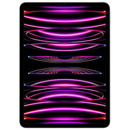 iPad Pro 12.9" (2022) 6. Generation 1000 GB - WLAN + 5G - Space Grau