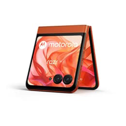 Motorola Razr 50 256GB - Orange - Ohne Vertrag