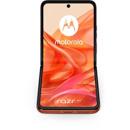 Motorola Razr 50 256GB - Orange - Ohne Vertrag