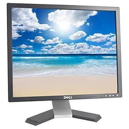 Bildschirm 19" LCD SXGA Dell E196FPB