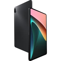 Xiaomi Pad 5 256GB - Grau - WLAN