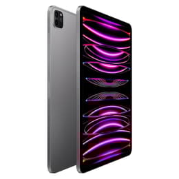 iPad Pro 11 (2022) 4. Generation 256 GB - WLAN - Space Grau