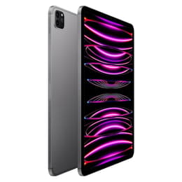 iPad Pro 11" (2022) 4. Generation 512 GB - WLAN + 5G - Space Grau