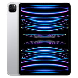 iPad Pro 11" (2022) 4. Generation 2000 GB - WLAN + 5G - Silber