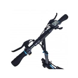 Smartgyro Rockway Roller