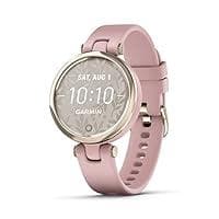 Smartwatch Garmin GPS Lily Sport -