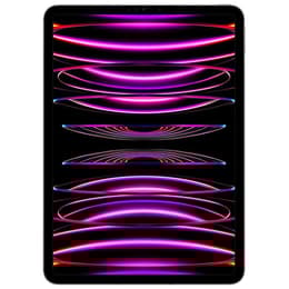iPad Pro 11" (2022) 4. Generation 256 GB - WLAN + 5G - Space Grau