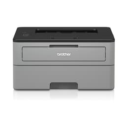 Brother HL-L2310D Laserdrucker Schwarzweiss