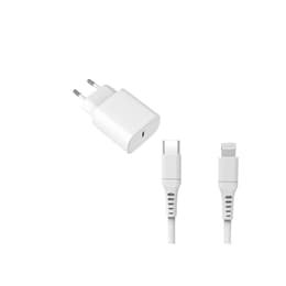 Kabel und Wandgesteck (USB-C + Lightning) 20W - WTK