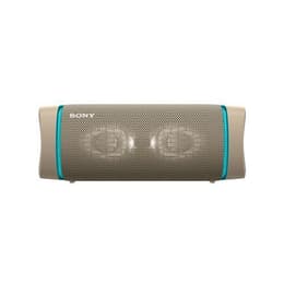 Lautsprecher Bluetooth Sony SRS-XB33 - Grau