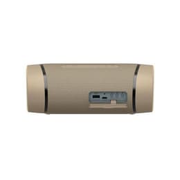 Lautsprecher Bluetooth Sony SRS-XB33 - Grau