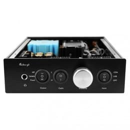 Audio-Gd NFB-11.38 Verstärker