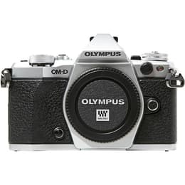 OM-D E-M5 MARK II - Silber/Schwarz + Olympus Olympus M.Zuiko Digital 14-42mm f/3.5-5.6 f/3.5-5.6