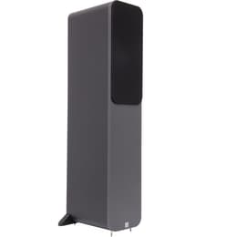 Lautsprecher Q Acoustics Q3050 - Grau