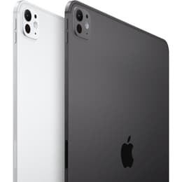 iPad Pro 11 M4 (2024) 5. Generation 512 GB - WLAN + 5G - Silber