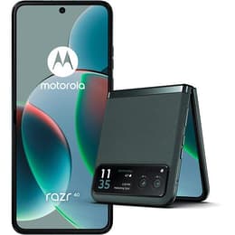 Motorola Razr 40 256GB - Grün - Ohne Vertrag