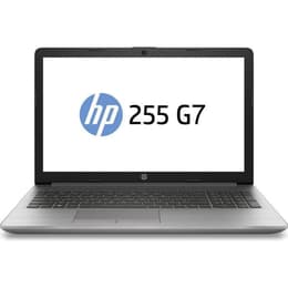 HP 255 G7 15" Ryzen 5 2.1 GHz - SSD 256 GB - 16GB QWERTY - Englisch