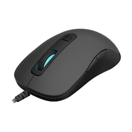 Rapoo V16 Maus