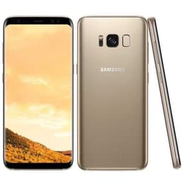 Galaxy S8 64GB - Gold - Ohne Vertrag