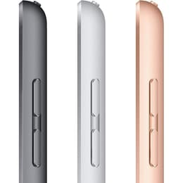 iPad 10.2 (2020) 8. Generation 128 GB - WLAN + LTE - Silber