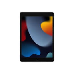 iPad 10.2" (2021) 9. Generation 256 GB - WLAN + LTE - Silber