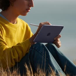 iPad mini (2021) 6. Generation 64 GB - WLAN + 5G - Polarstern