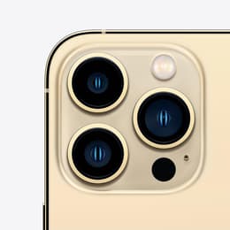 iPhone 13 Pro Max 1000GB - Gold - Ohne Vertrag