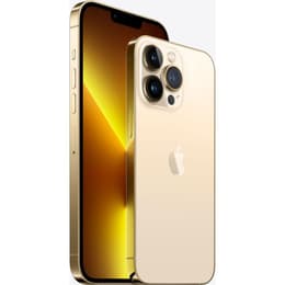 iPhone 13 Pro Max 1000GB - Gold - Ohne Vertrag